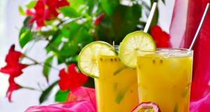 Best Masticating Juicer Reviews 2018