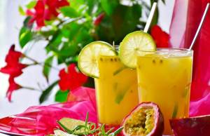Best Masticating Juicer Reviews 2018