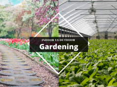 9 Benefits of Indoor Gardening over Outdoor Gardening