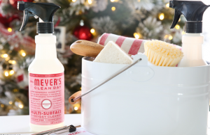 10 Reasons You Need a Clean Home at Christmas