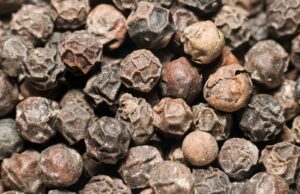 How do you grind peppers without a mill? Do Peugeot still make pepper Mills?