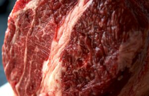 Discover the Delicious World of Wellington Beef Cuts🥩