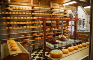 Why Sheep’s Milk Cheese is a Healthier Alternative to Cow’s Milk Cheese✔️ cheese