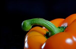 The Surprising Immunity Boosting Benefits of Black Pepper