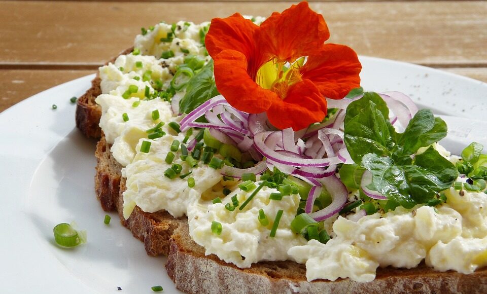 bread-2756463_960_720.jpg cheese