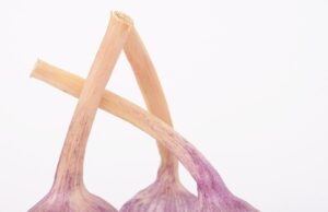 Herbs in Desserts: Unique and Surprising Flavors to Sweeten Your Day✔️ herbs