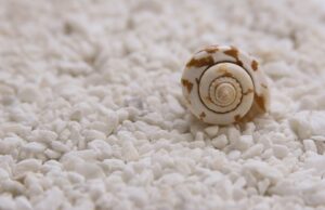 Can excessive salt intake lead to high blood pressure?✔️ salt