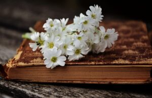 What are some traditional herb blends used in various cultures around the world?✔️ herbs