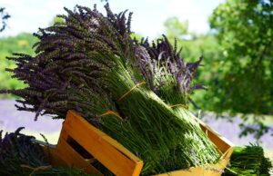 How can I incorporate more herbs into my everyday cooking?✔️ herbs