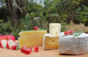 Cheddar or Gouda: Which Cheese is Right for You?✔️ difference between cheddar and gouda cheese