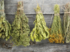 5 Innovative Herb Planter Ideas for a Beautifully Labeled Kitchen Garden✔️