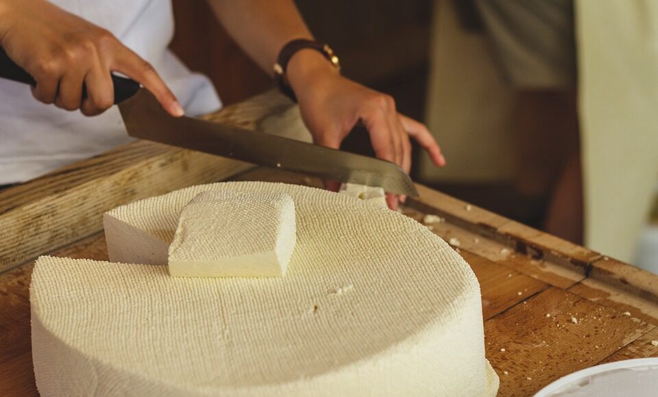 history of cheese making around the world