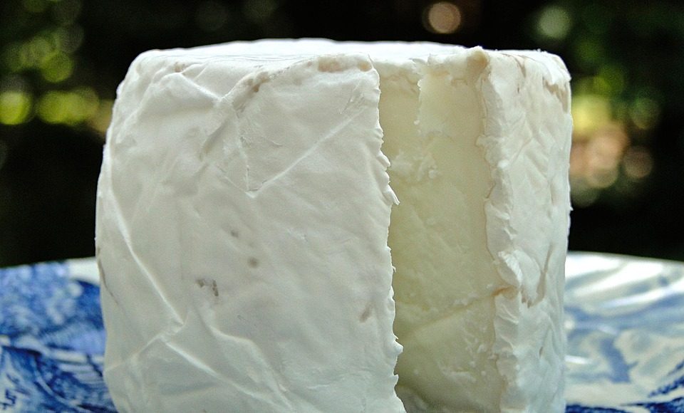 Goat-Cheese-The-Secret-to-Better-Digestion-and-Immunity.jpg health benefits of goat cheese over cow cheese