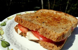 Grilled Cheese Goals: Discover the Best Cheeses for Melting Magic✔️ best cheeses for melting in grilled cheese sandwiches