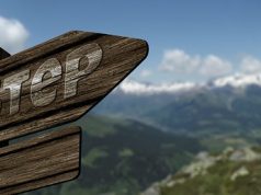 The Art of Mozzarella Making: A Beginner’s Guide to Crafting Cheese at Home✔️ how to make mozzarella cheese at home step by step