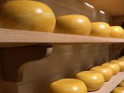 From Mild to Sharp: The Flavor Profiles of Cheddar and Gouda✔️ difference between cheddar and gouda cheese