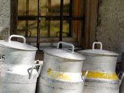 Curdled Creativity: The Innovations and Traditions of Cheese Making Worldwide✔️ history of cheese making around the world